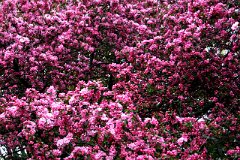 photo 0032